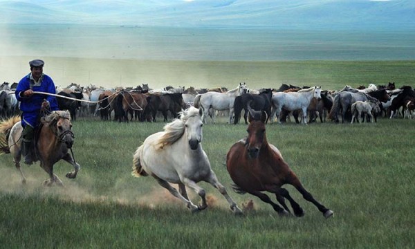 2023年第三十三届内蒙古国际农业博览会现场成交额达3.78亿