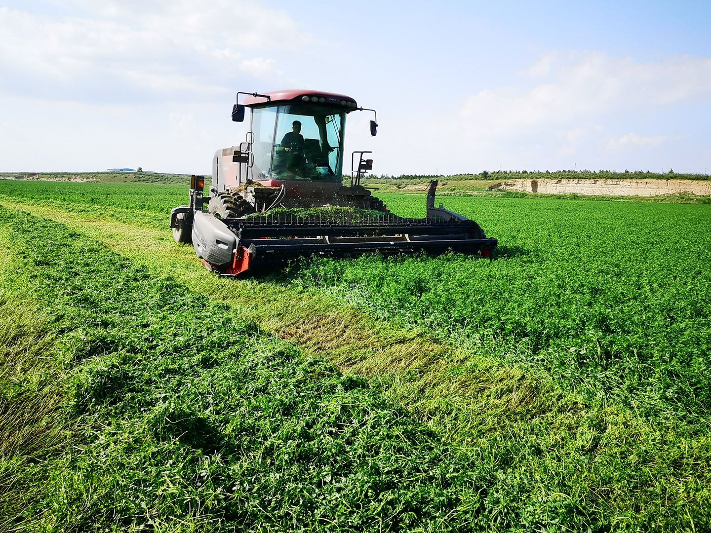 党旗映红脱贫路—和林格尔县抓党建促脱贫工作纪实