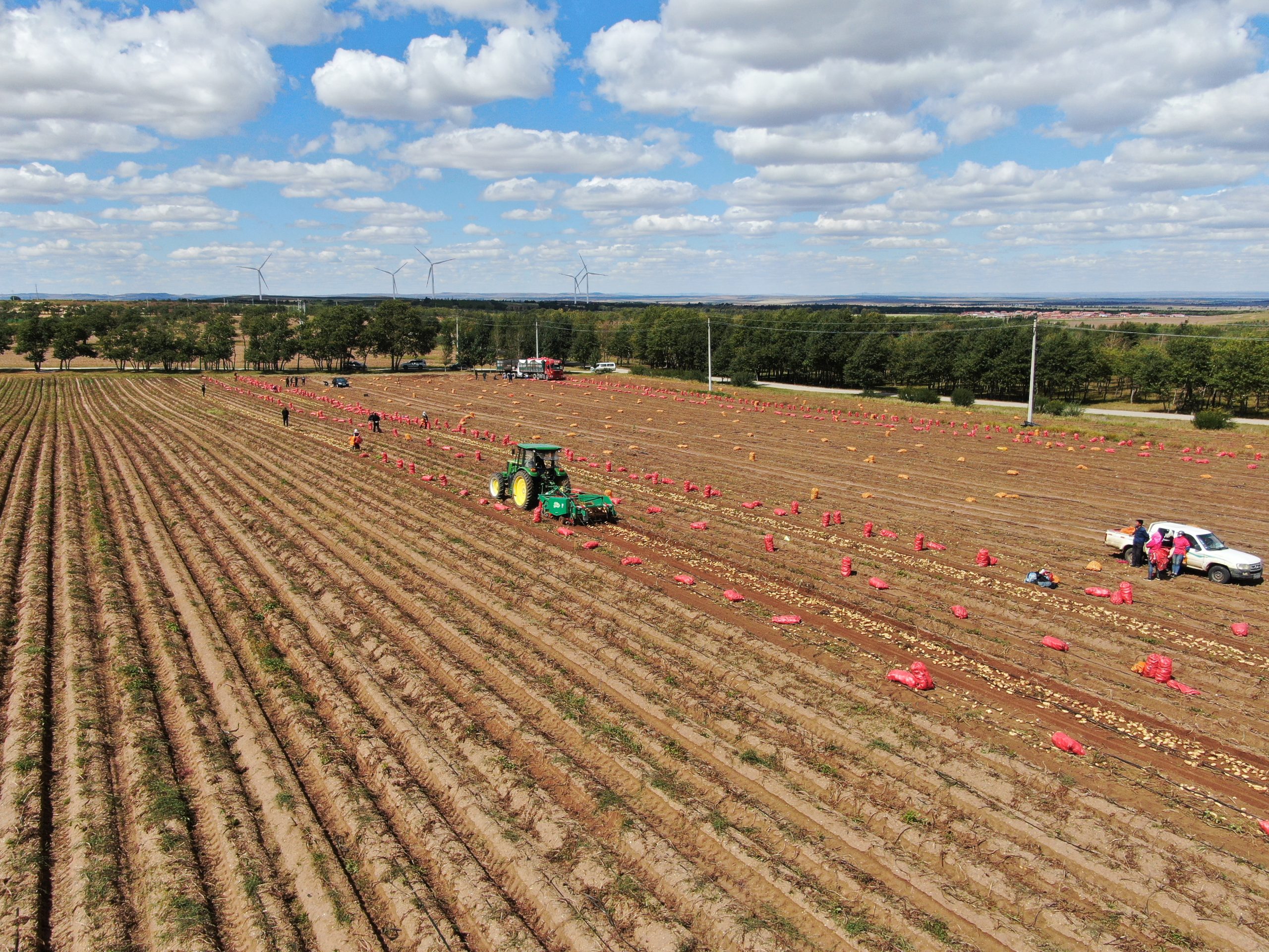 大美兴和庆丰收