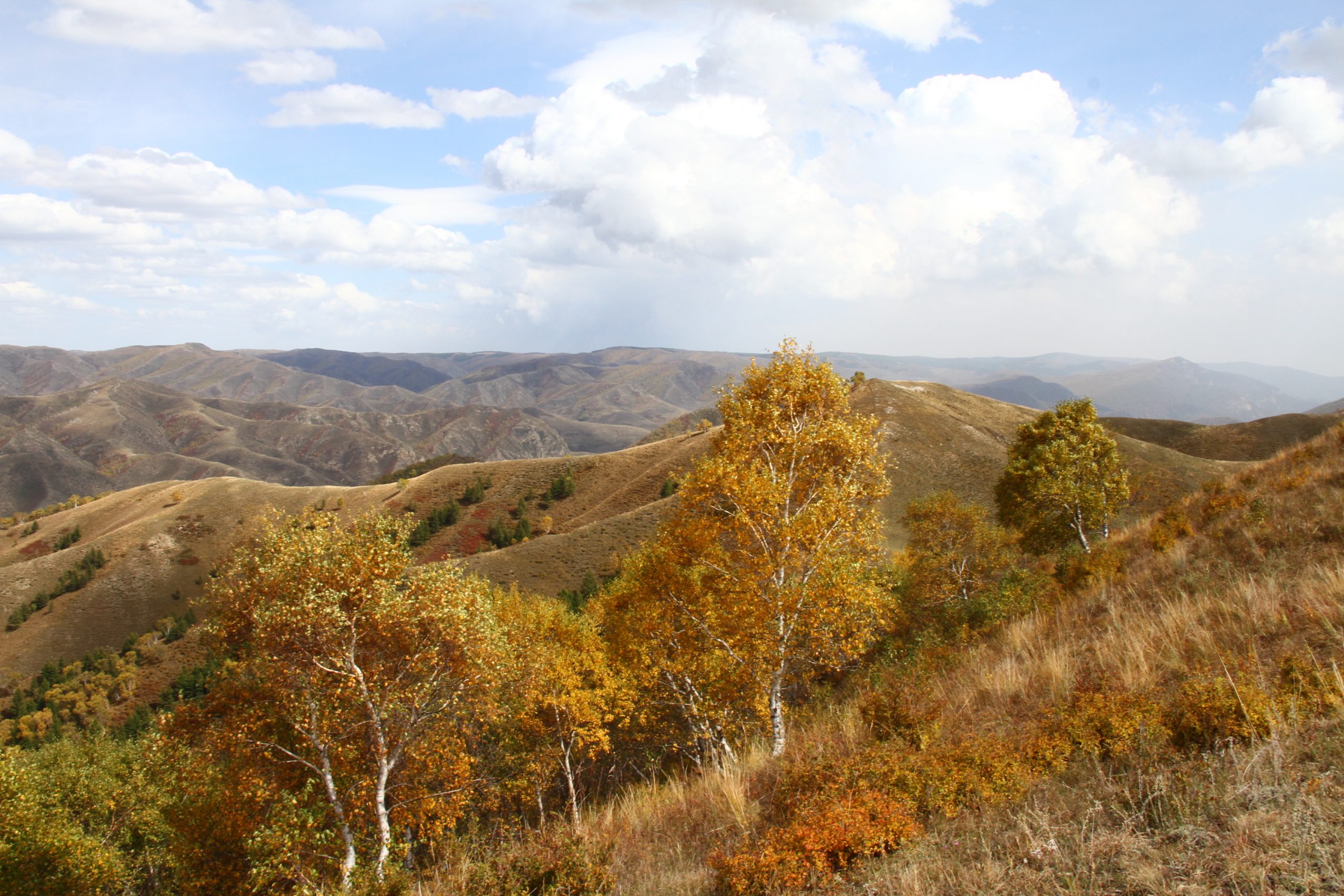 十一黄金周呼和浩特市累计接待国内外游客200余万人次