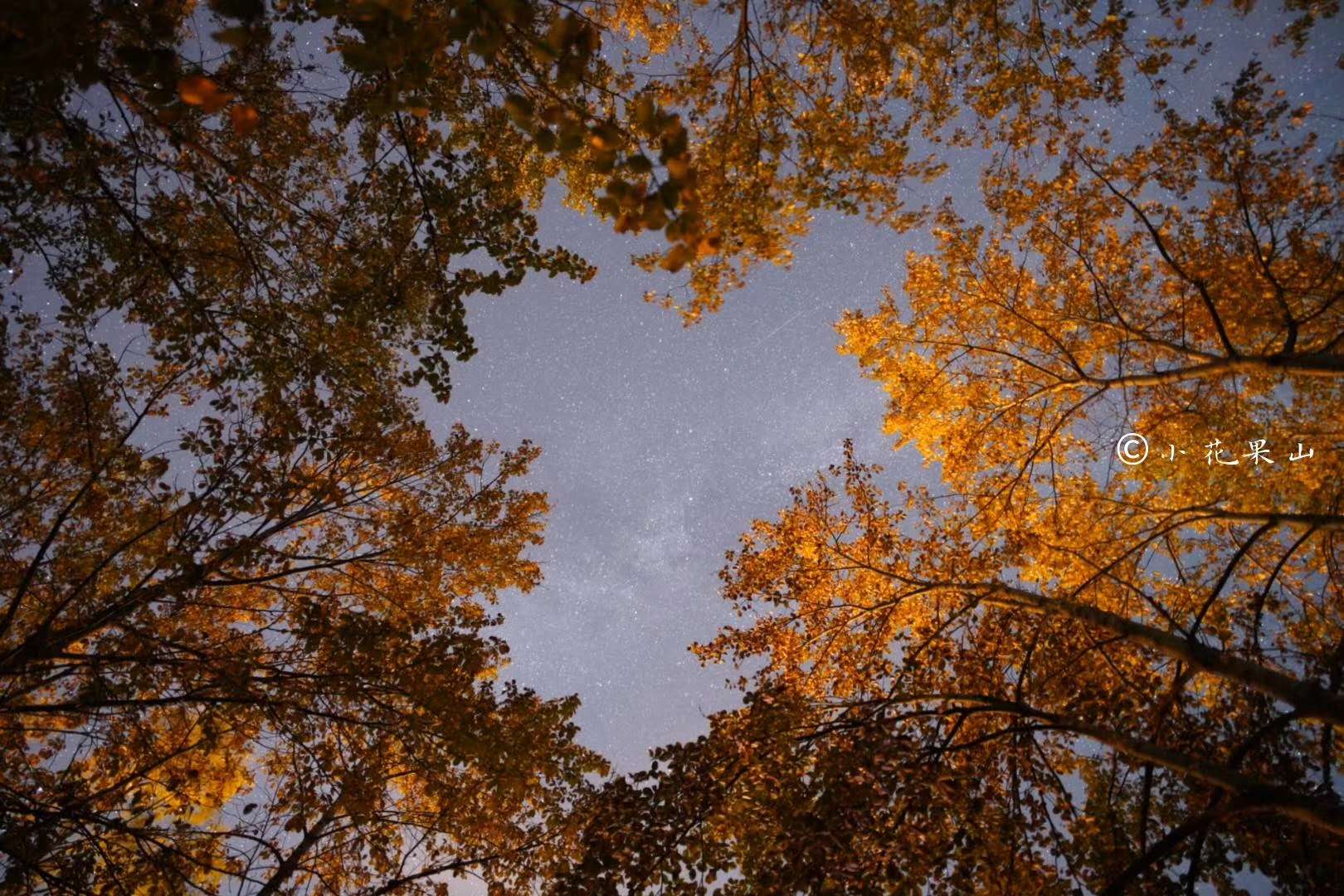 内蒙古大兴安岭的秋天惊艳中国