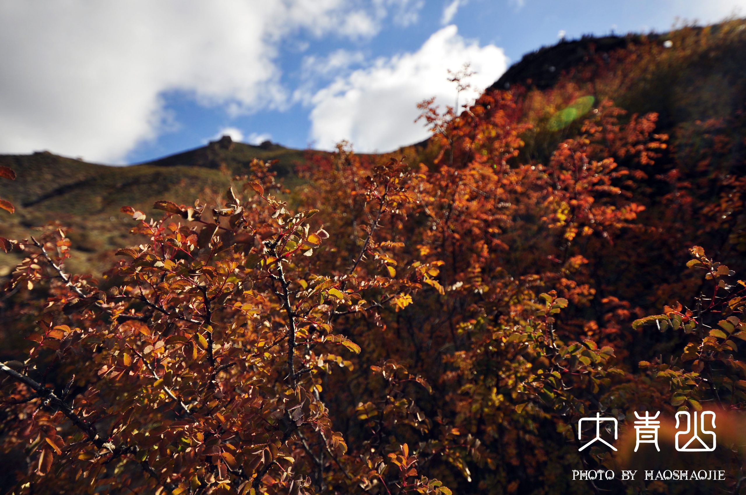 秋日梦幻的大青山