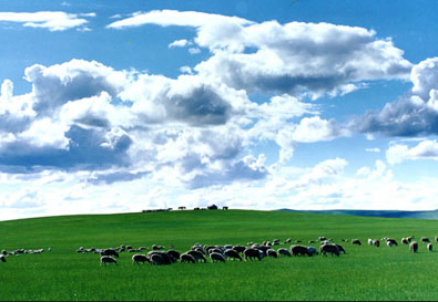 内蒙古旅游区域化整合值得思考