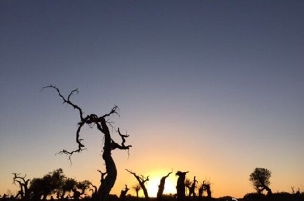 大文记者探访2021年内蒙古66个“网红打卡地”——居延海