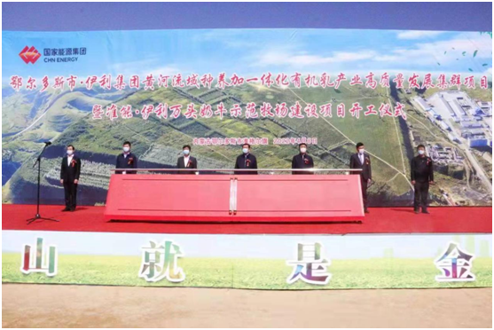 鄂尔多斯市•伊利集团黄河流域种养加一体化有机乳产业高质量发展集群项目开工建设