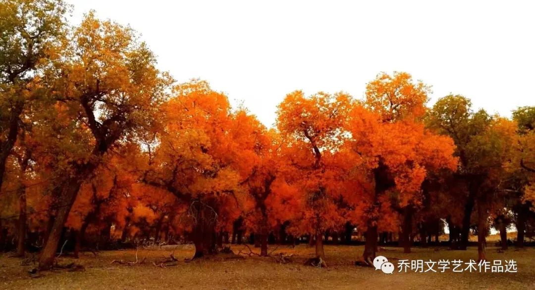 建设黄河几字弯文化旅游带研究