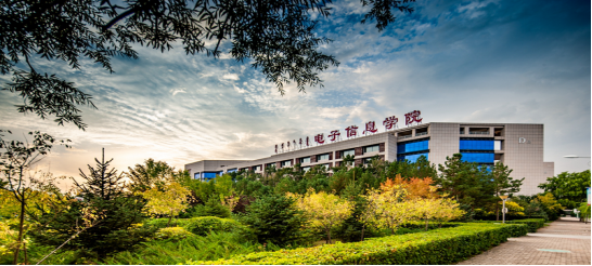 职业教育活动周 | 职业院校云端展风采