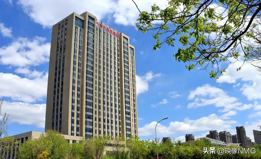 内蒙古能源集团关于市场化选聘部分所属公司经理层成员公告