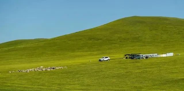 孙绍骋：感党恩 听党话 跟党走 在新时代继续保持模范自治区崇高荣誉