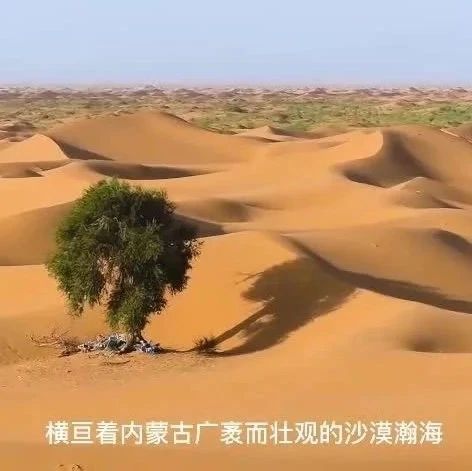 “喜迎二十大 亮丽内蒙古”系列专题片：北疆遨游之秘境沙漠 奇幻之旅