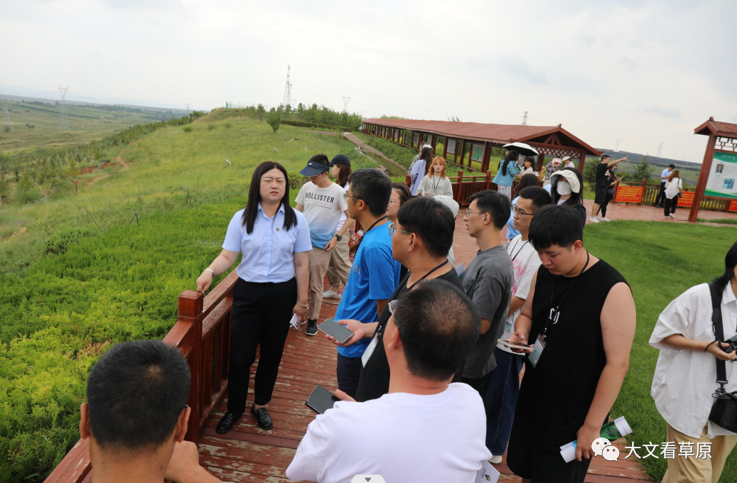 香港学子在伊金霍洛旗见证采煤沉陷区华丽转身绿色能源