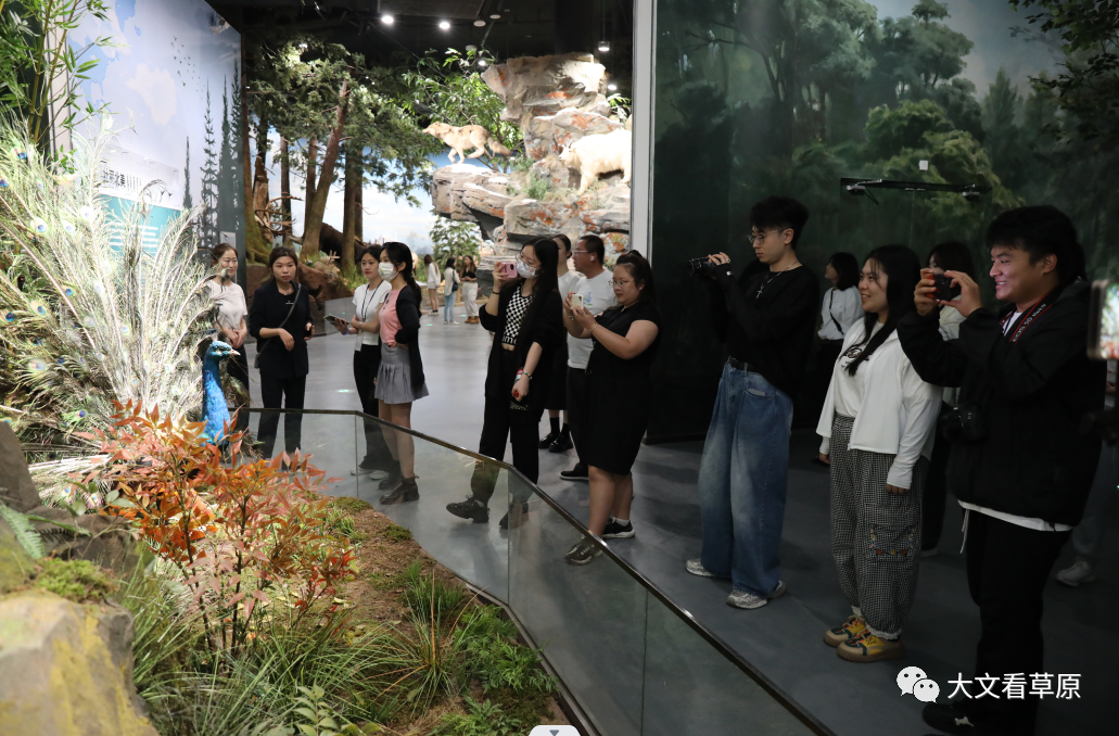 香港学子参观康巴什自然博物馆身临其境融入大自然