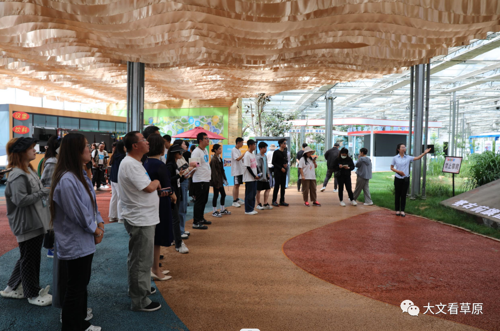 香港学子走进南村感受乡村振兴新成果