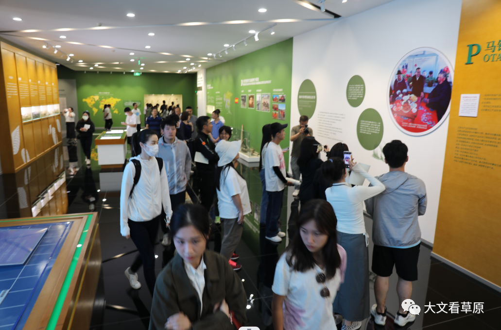 香港学子参观中国薯都马铃薯博物馆了解土豆的前世今生