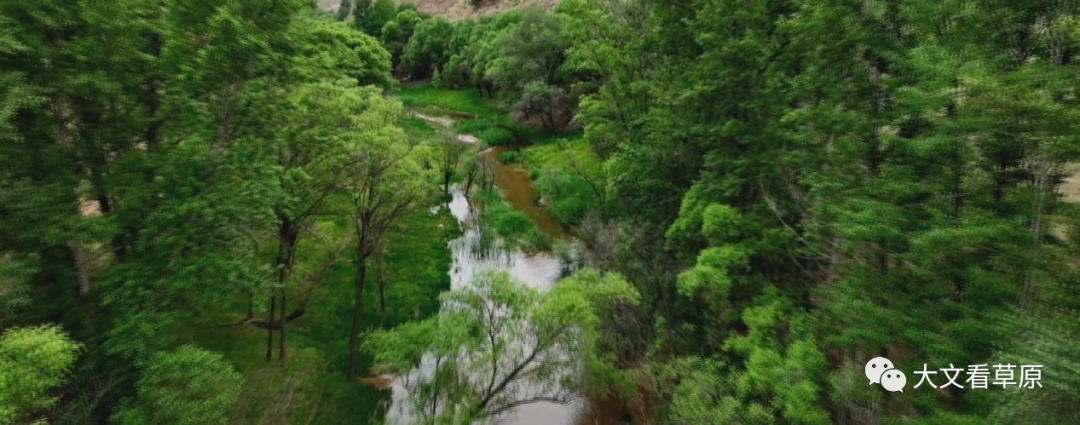 萨拉乌苏的“三幅面孔”