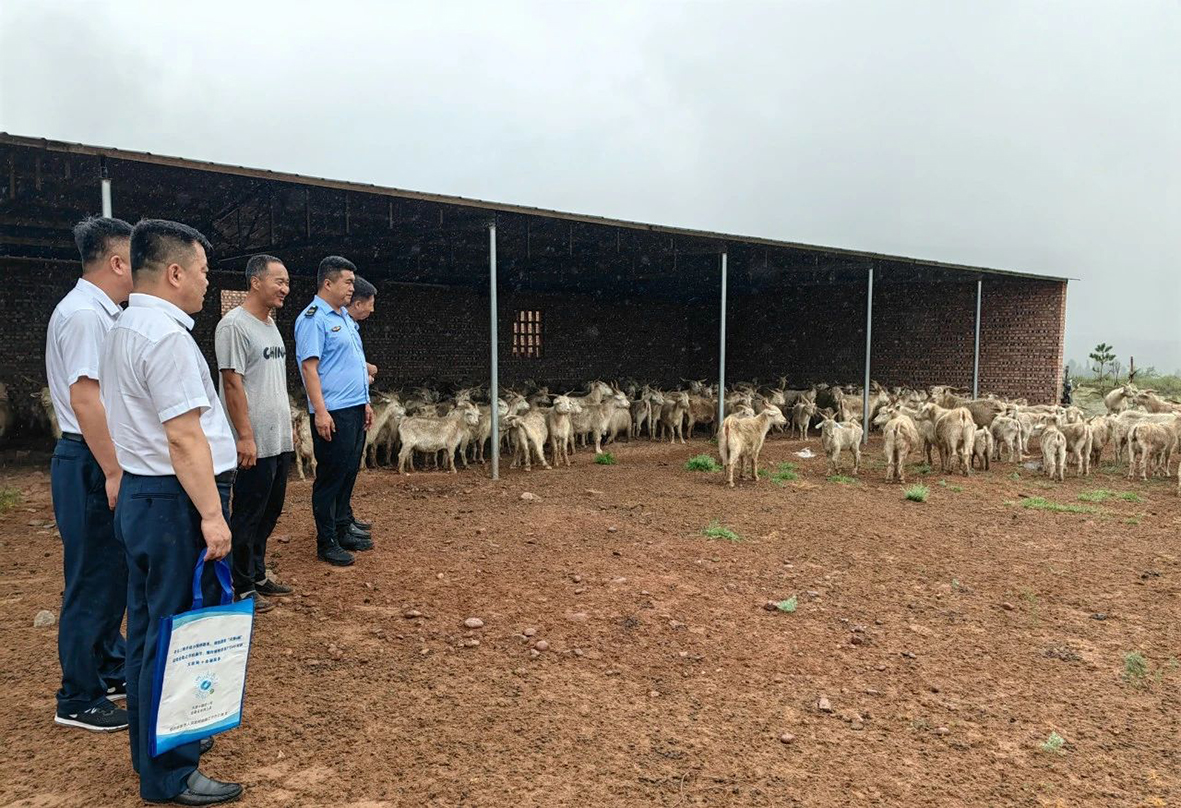 伊金霍洛旗：把金融服务送到百姓身边