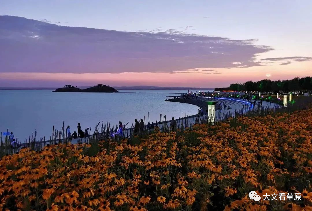 让游客“放心食”“安心住”“随心玩”，乌海市这样做……