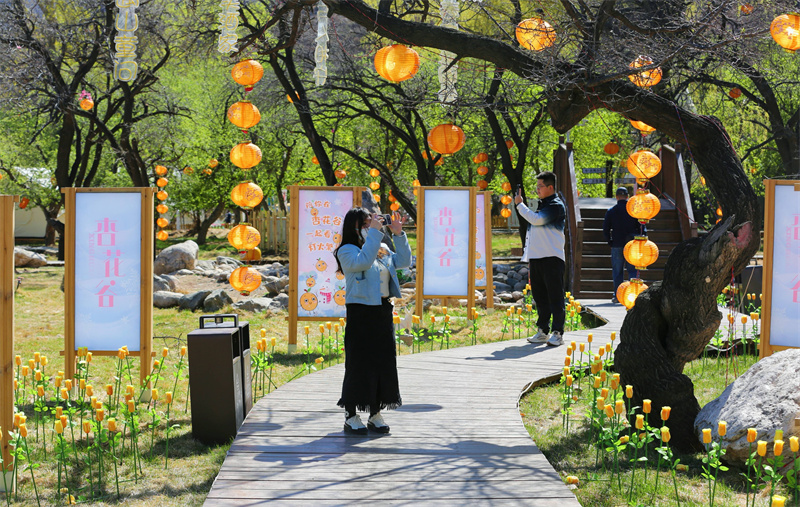 1713443862945399.jpg 微信图片_20240418203611.jpg