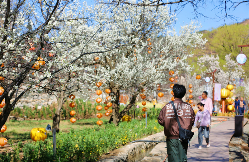 1713443869972262.jpg 微信图片_20240418203615.jpg