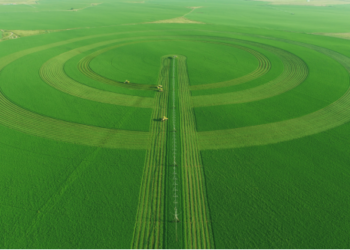 优饲草、降成本、促发展，源头发力筑牢奶业高质量发展根基