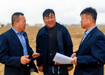 丰镇市农信联社：施足“金融底肥” 播洒“金融活水”