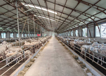 内蒙古扎赉特旗：多维发力促振兴 协同发展谱新篇​