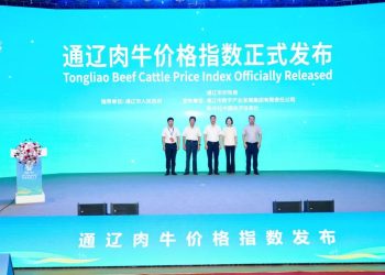通辽肉牛价格指数正式发布 “肉牛重镇”打造价格标尺